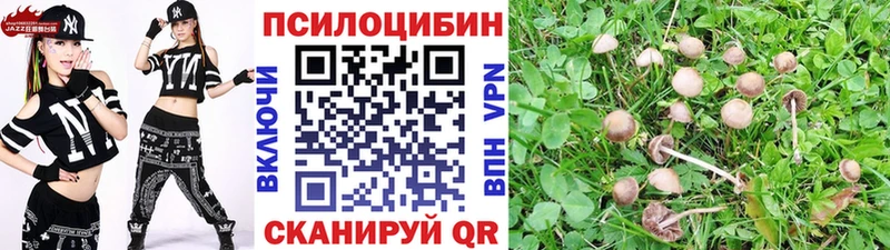 Галлюциногенные грибы Magic Shrooms  blacksprut ТОР  Моршанск 