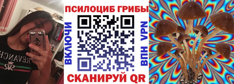 Псилоцибиновые грибы Psilocybine cubensis Моршанск
