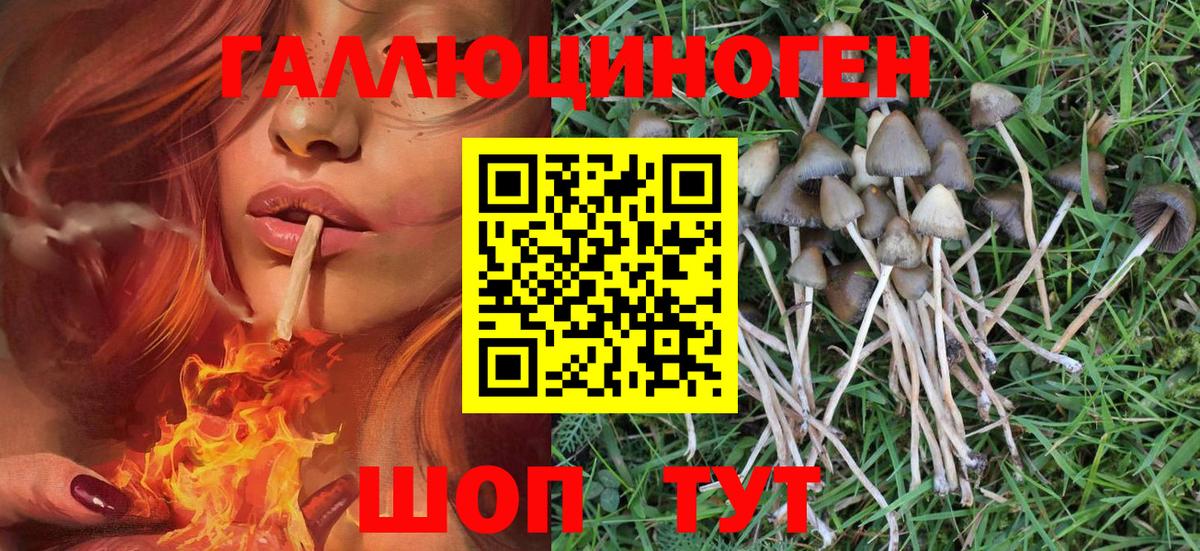 Моршанск  Галлюциногенные грибы мухоморы  где купить   Вход с VPN 