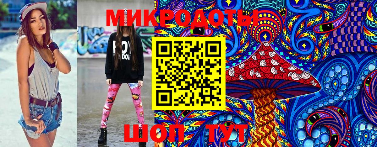 Галлюциногенные грибы Psilocybine cubensis Моршанск